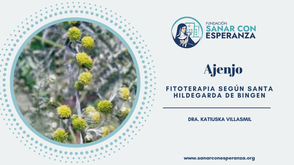 Ajenjo según Santa Hildegarda de Bingen y sus propiedades medicinales.