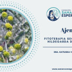 Ajenjo según Santa Hildegarda de Bingen y sus propiedades medicinales.