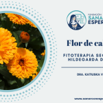Caléndula según Santa Hildegarda con propiedades cicatrizantes y digestivas.