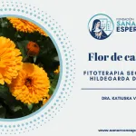 Caléndula según Santa Hildegarda con propiedades cicatrizantes y digestivas.