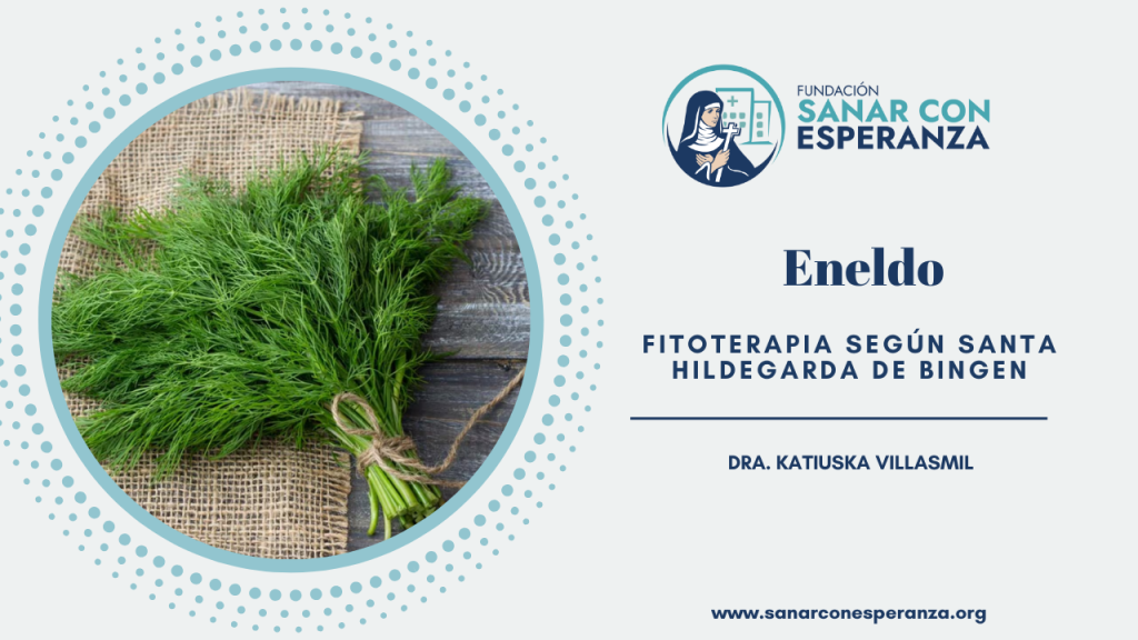 Eneldo según Santa Hildegarda de Bingen y sus propiedades medicinales.