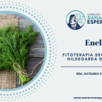 Eneldo según Santa Hildegarda de Bingen y sus propiedades medicinales.