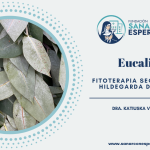 Eucalipto según Santa Hildegarda de Bingen y sus beneficios para la salud.