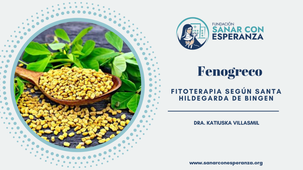 Fenogreco según Santa Hildegarda de Bingen y sus propiedades medicinales.