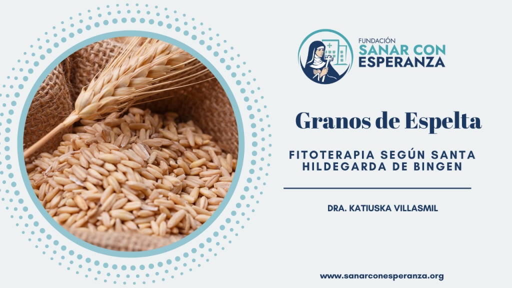 Granos de espelta según Santa Hildegarda como alimento nutritivo y digestivo.