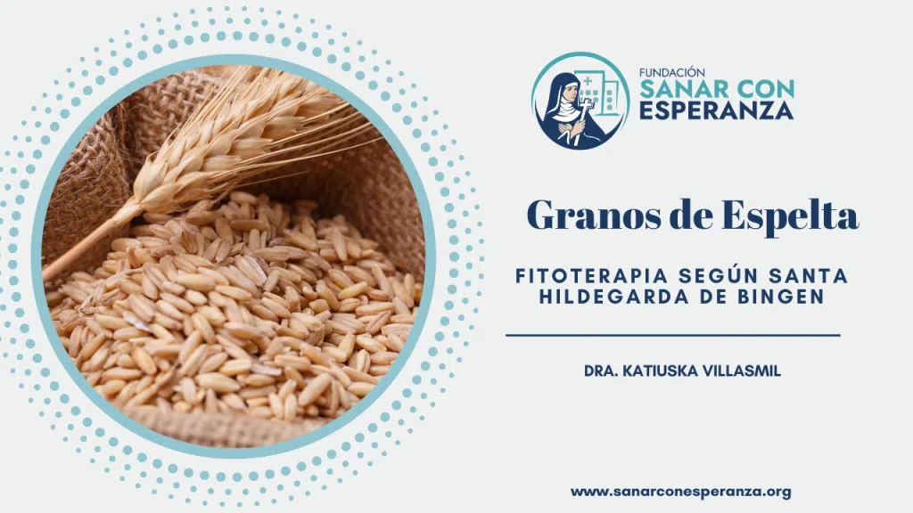 Granos de espelta según Santa Hildegarda como alimento nutritivo y digestivo.