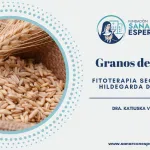 Granos de espelta según Santa Hildegarda como alimento nutritivo y digestivo.