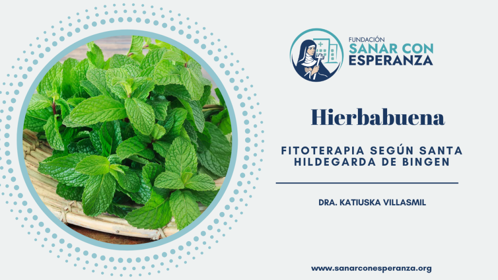 Hierbabuena según Santa Hildegarda de Bingen y sus beneficios medicinales.