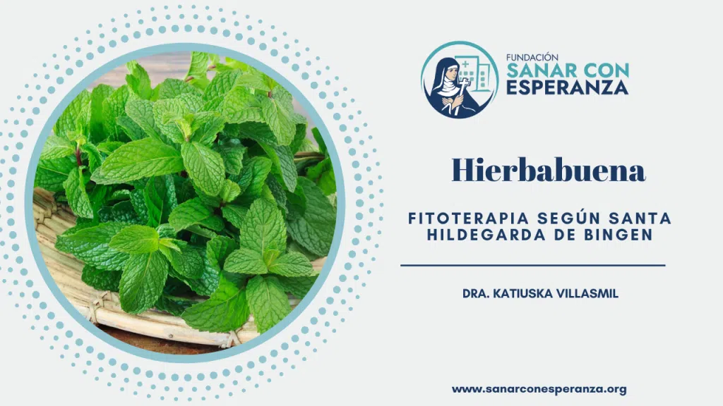 Hierbabuena según Santa Hildegarda de Bingen y sus beneficios medicinales.