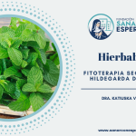 Hierbabuena según Santa Hildegarda de Bingen y sus beneficios medicinales.