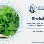 Hierbabuena según Santa Hildegarda de Bingen y sus beneficios medicinales.