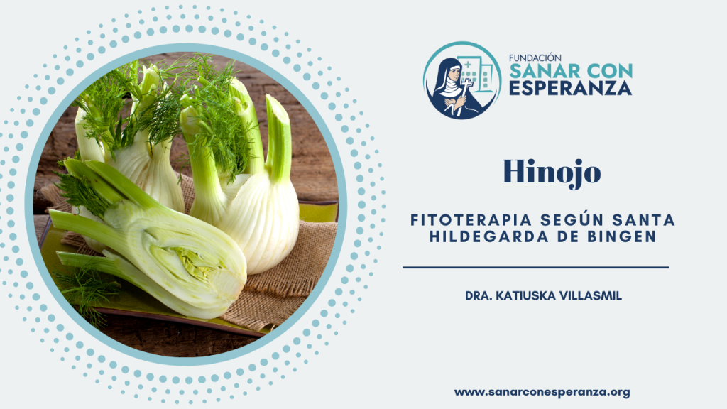 Hinojo según Santa Hildegarda de Bingen con propiedades digestivas y femeninas.