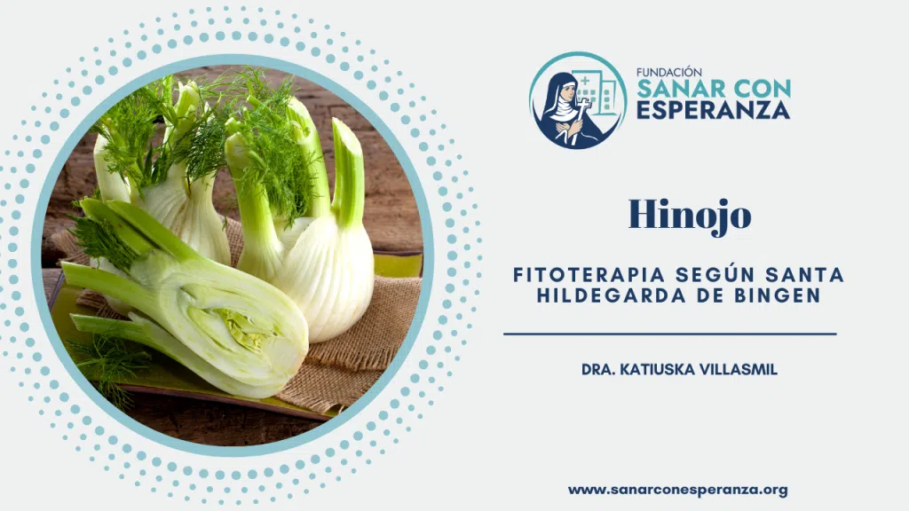Hinojo según Santa Hildegarda de Bingen con propiedades digestivas y femeninas.