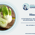 Hinojo según Santa Hildegarda de Bingen con propiedades digestivas y femeninas.