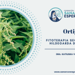 Ortiga según Santa Hildegarda de Bingen y sus beneficios medicinales.