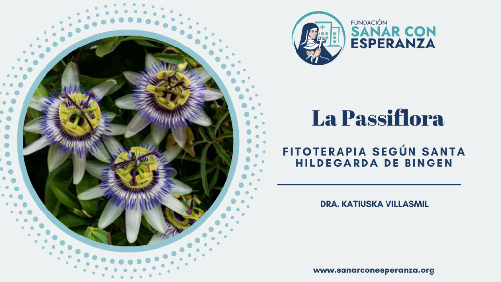 Passiflora según Santa Hildegarda para la ansiedad y el insomnio.