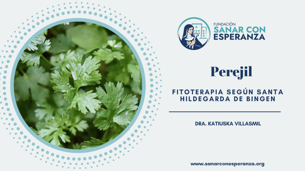 Perejil según Santa Hildegarda de Bingen y sus propiedades medicinales.
