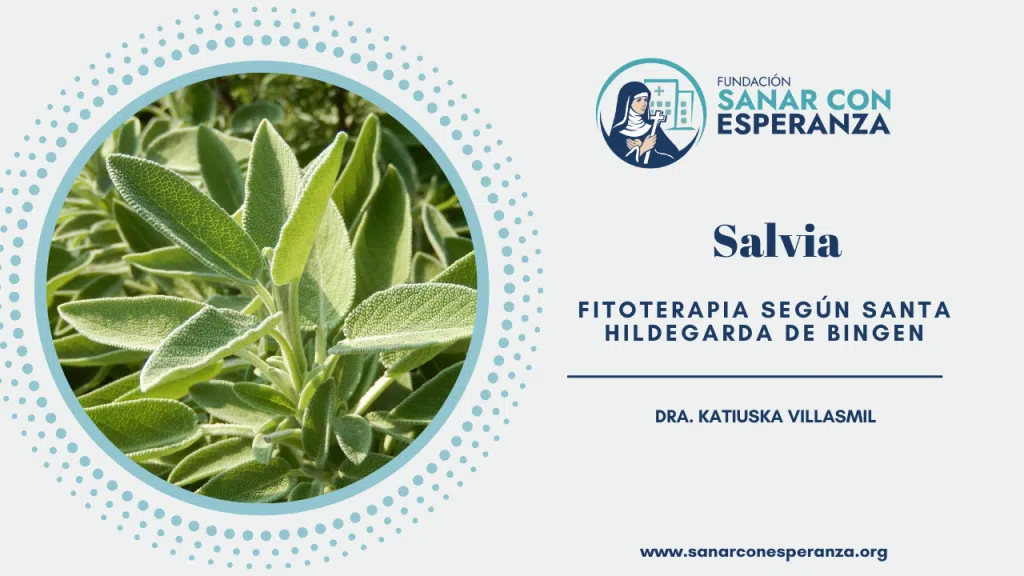 Salvia según Santa Hildegarda con beneficios digestivos y calmantes.
