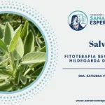 Salvia según Santa Hildegarda con beneficios digestivos y calmantes.
