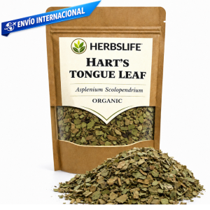 Frasco o preparación herbal de escolopendra (asplenium scolopendrium) utilizada tradicionalmente en fitoterapia para apoyo respiratorio y equilibrio del organismo.