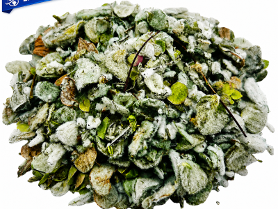 Planta medicinal Dictamnus albus utilizada en fitoterapia tradicional para apoyo del sistema circulatorio, urinario y equilibrio del organismo.